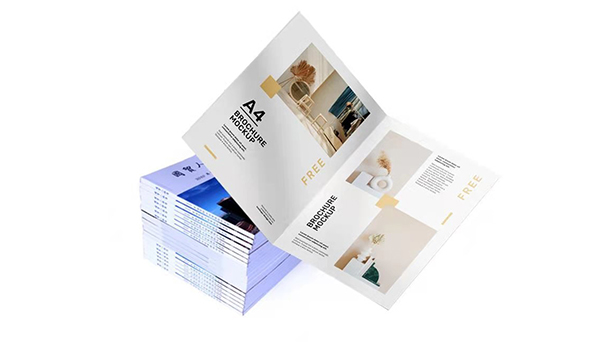 Professional Printed Materials